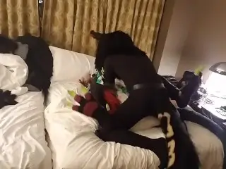 Anubis Fucks DergDog during a Room Party 1