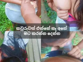 Srilankan Petite Village Girl Outdoor Sex - ඉස්කෝලේ නංගි කැලේ පැනලා දීපු සැප