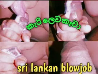 Asian Blowjob ,sri Lankan new Chubby ,කැරි යනකම්ම කටට ගත්තු කෑල්ල බඩු ලෙවකෑවා සුපිරියටම ,...........