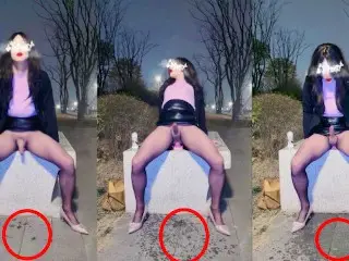 How did the Slutty Chinese Ladyboy get the Park Sidewalk Wet?