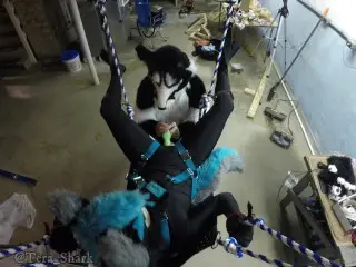 FEMALE MURRSUITER GETS FUCKED HARD