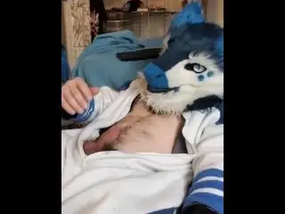 Kobaruto, Sergal Horny and Paws off