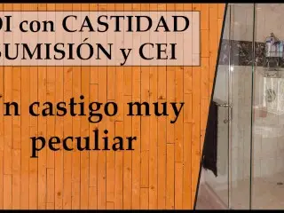  castidad y CEI. ¡nivel Experto!