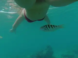 Snorkeling in Reef