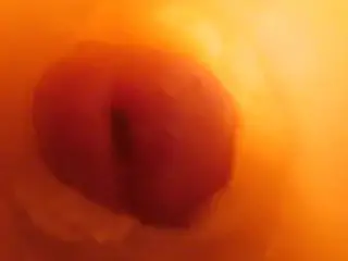 Camera inside Vagina while Fingering, Fucking and Cum with Hot MILF Wife and Nice Cock