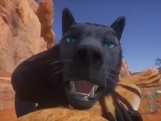 Wild Life Tiger Furry Girl with Wolf (Furry Girl POV)