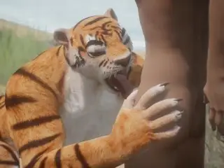 Wild Life / Tiger Furry Girl Catch its Prey