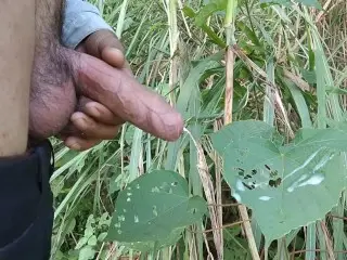 Indian Boy Cumshot in Forest