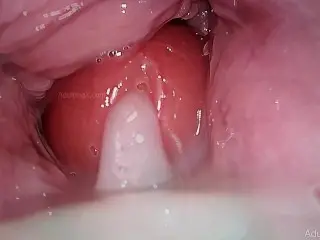 Camera in Vagina, Cervix POV, 