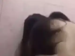 Iraqi Man Fucking His Wife In Shower