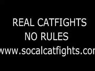 REAL CATFIGHTS NO RULES