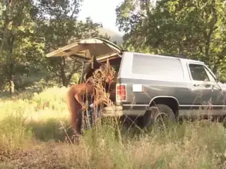 Almost busted outdoor naked fuck by the forest under the sun