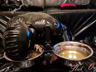 Slave Slut-Orgasma Celeste eating dog food and drinking piss