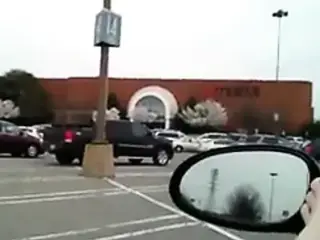 furry kitty playing and squirting in car in mall parking lot