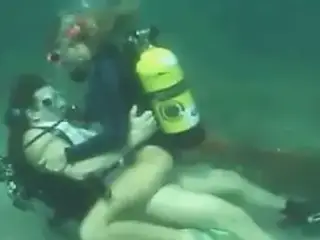 Scuba horny on the reef