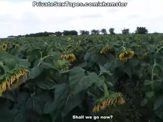 Real passion of teenage couple in the field of sunflowers