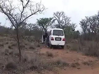 real african safari sex orgy
