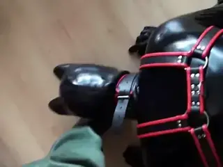 Rubber Puppy Play In Rubber Waders