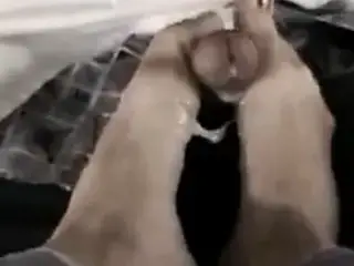 footjob under table