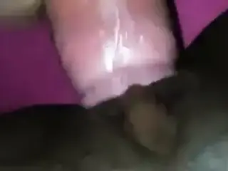 White cock creampies black pussy