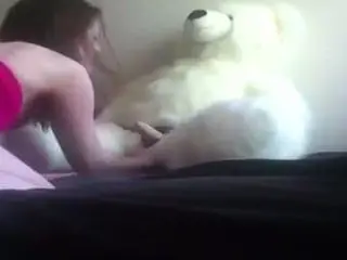 Bear fucking toy