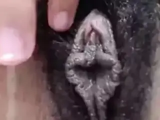 An Exotic Hairy Black Lips Pussy