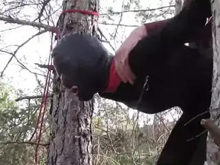 Tied up to a tree outdoors in sexy clothes and fucked hard