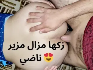 arab ass anal kitchen lhwa fi tarma zok lor