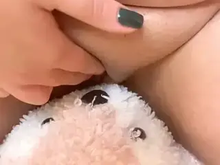 Cute pussy humps a stuffy and squirts