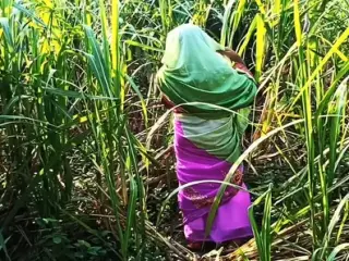 Husband's friend went to meet the new daughter-in-law in the sugarcane field.  Daughter-in-law was to fuck by a friend..