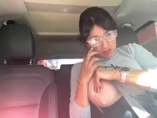 Car Boobs and Pussy Flash 2